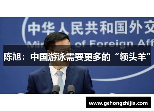 陈旭：中国游泳需要更多的“领头羊”